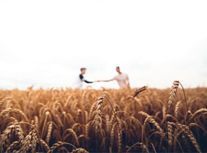 Zwei Personen reichen sich auf einem Feld die Hand