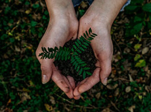 Guerilla Gardening - Hand hält Pflanze